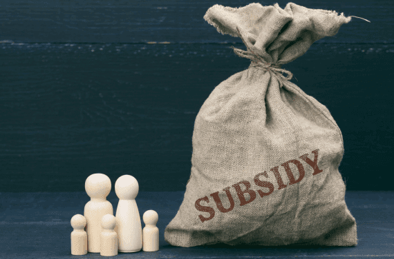 Are government subsidies a wise use of taxpayer dollars?